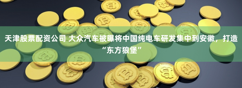 天津股票配资公司 大众汽车被曝将中国纯电车研发集中到安徽，打造“东方狼堡”