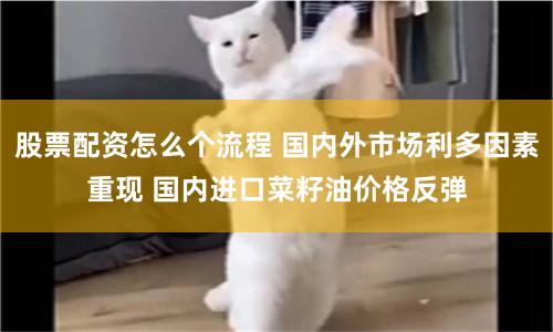 股票配资怎么个流程 国内外市场利多因素重现 国内进口菜籽油价格反弹