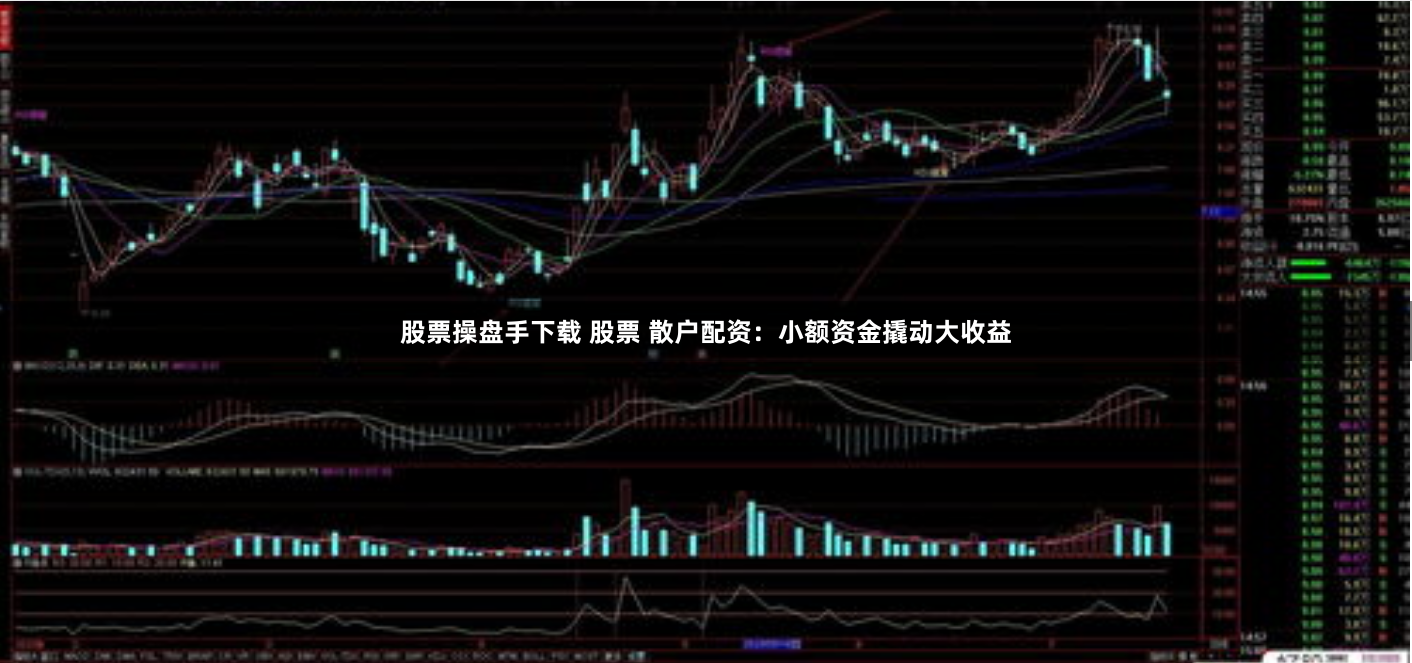 股票操盘手下载 股票 散户配资：小额资金撬动大收益